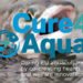 Acquacoltura. Cure4Aqua, un progetto focalizzato sulla salute e il benessere degli animali 