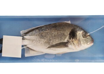 Confezionamento pesce: ok all'atmosfera protettiva