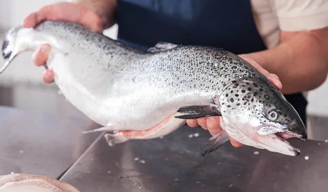 Da Mintec un'analisi dei prezzi del salmone