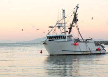 Federpesca apre il canale Telegram