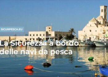 Federpesca: da oggi portale sicurpesca.eu per migliorare informazioni su sicurezza a bordo