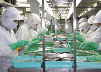 Il Vietnam incentiva il consumo interno di pangasio