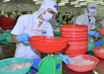 Il pangasio vietnamita conquista oltre 140 mercati