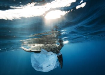 La bussola. Pescatori di rifiuti