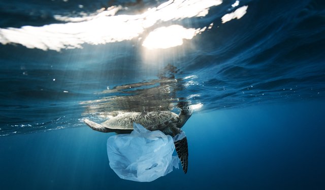 La bussola. Pescatori di rifiuti