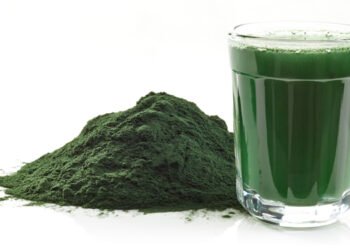 Microalghe: efficiente fonte di cibo