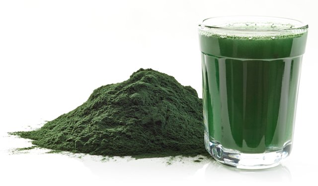 Microalghe: efficiente fonte di cibo