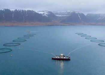 Mowi acquisisce il 51,28% di Artcic Fish