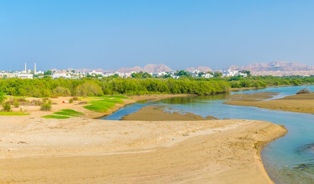 Oman. In otto anni la produzione dell'acquacoltura è aumentata del 500%