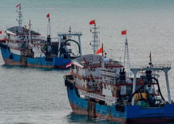 Ruolo e impatto della Cina sulla pesca e l'acquacoltura mondiali