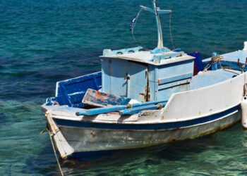 UE, D'Amato: "Più risorse e quote alla piccola pesca per la transizione ecologica"