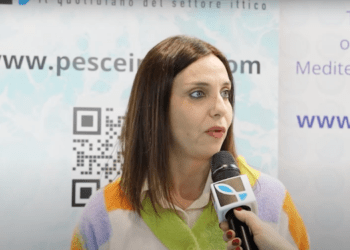 Acqua Azzurra, puntare sull'avannotto italiano e sensibilizzare la GDO