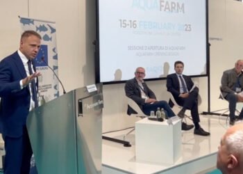 Acquacoltura, il fatturato 2021 si è attestato a circa 500 milioni di euro