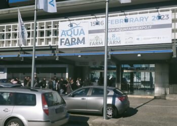 Al lancio di Blue Life Hub Marco Pedol di ESG & Sustainability