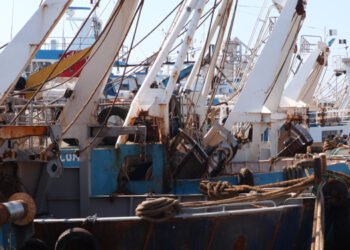 Uila Pesca. La pesca dalla sicurezza agli ammortizzatori sociali