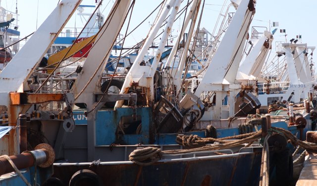 Uila Pesca. La pesca dalla sicurezza agli ammortizzatori sociali