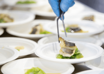 Aquafam. Italia e Grecia insieme grazie al progetto SeaFood Fantastic!