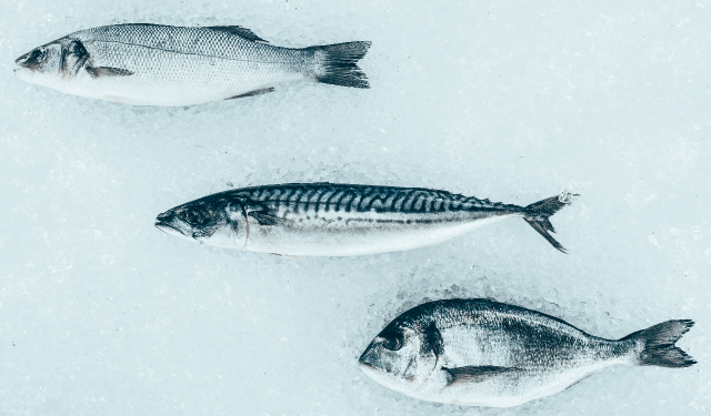 EUMOFA. Disponibili report aggiornati pesca e acquacoltura in Italia e UE