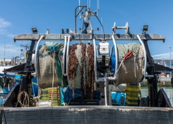 Europêche, il report di Oceana semplicistico e fazioso