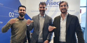 Insetti, alternativa sostenibile per la mangimistica dell'acquacoltura