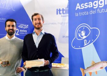 Ittinsect raccoglie fondi con l'aiuto di BlueInvest