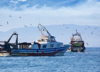 Alleanza Cooperative: bene ricorso Italia al Regolamento controllo pesca