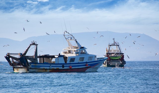 Alleanza Cooperative: bene ricorso Italia al Regolamento controllo pesca