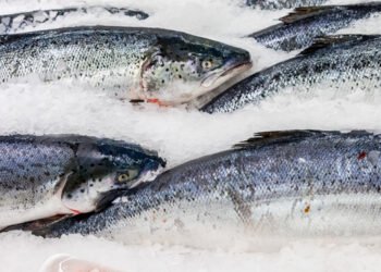 Norvegia, bene le esportazioni di prodotti ittici 