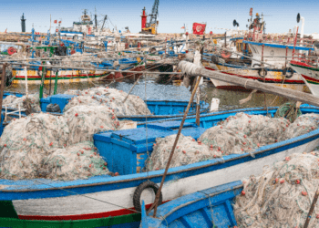 Pesca. L'Italia è il paese più importante per l'export ittico Tunisino