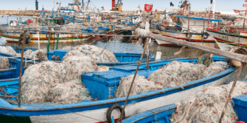 Pesca. L'Italia è il paese più importante per l'export ittico Tunisino