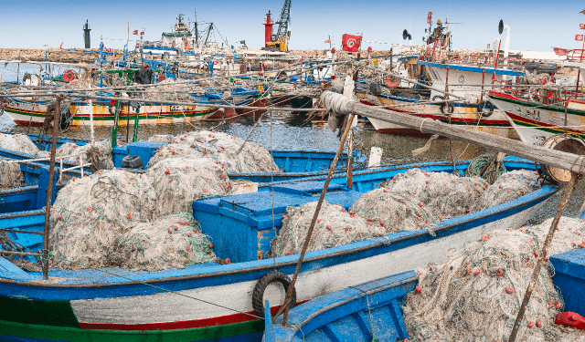 Pesca. L'Italia è il paese più importante per l'export ittico Tunisino