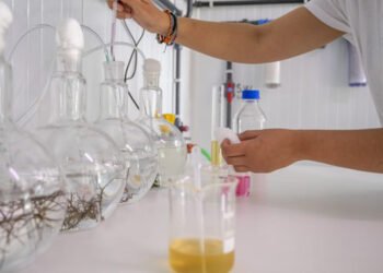 Progetto Horizon Europe per CTAQUA. Verso produzione di alimenti funzionali