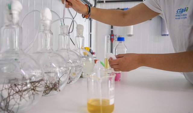 Progetto Horizon Europe per CTAQUA. Verso produzione di alimenti funzionali