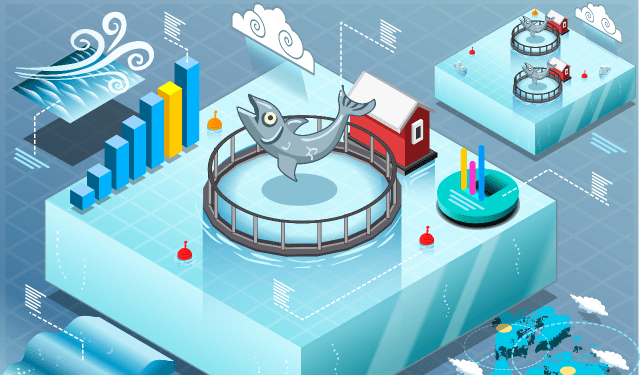 ReNile. Acquacoltura intelligente grazie all'Internet of Things (IoT)