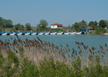 Regione Veneto. In vigore la Carta Ittica Regionale