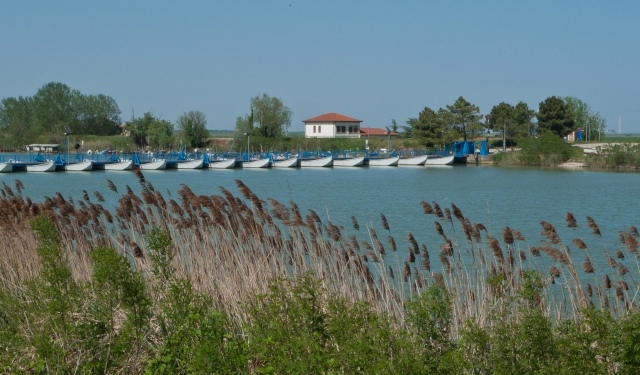 Regione Veneto. In vigore la Carta Ittica Regionale