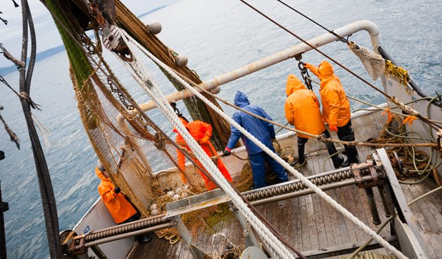 Un'equazione quantifica l'impatto della pesca a strascico