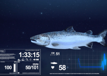 WSense offre soluzioni per monitorare in tempo reale gli ambienti marini e oceanici fino a 3.000 metri di profondità. Questi sistemi permettono di fornire informazioni importanti per la Blue Economy