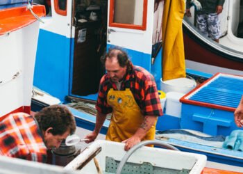 Alleanza Cooperative, estendere Pdl Carloni a filiera ittica