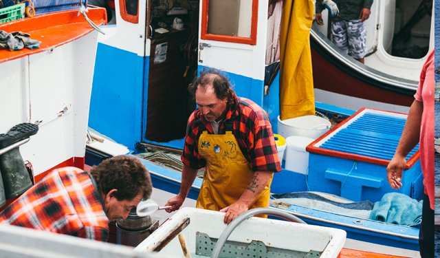 Alleanza Cooperative, estendere Pdl Carloni a filiera ittica