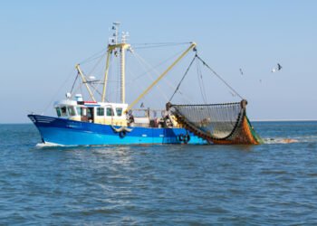 Alleanza Cooperative, nasce fronte europeo contro stop strascico entro 2030