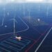 Amazon finanzia allevamento di alghe tra turbine eoliche offshore