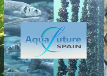 AquaFuture Spain: un programma ambizioso con oltre sessanta esperti