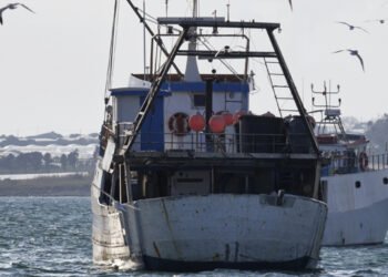 Bene proroga termine presentazione domande indennità Fermo pesca 2022