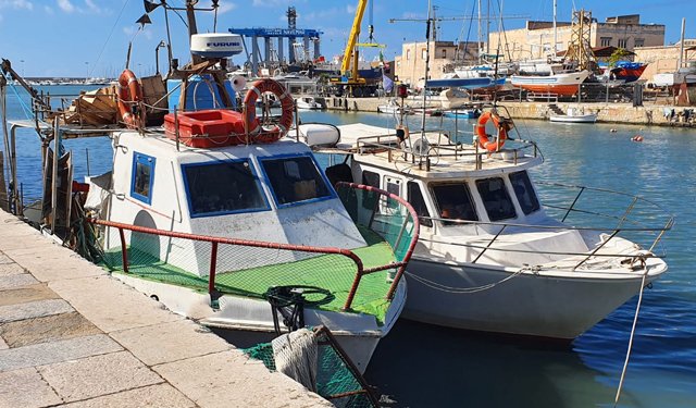 D'Amato: basta fake news, regolamento controlli premia piccola pesca 