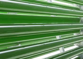 In Malesia il più grande impianto di produzione di biomassa da microalghe