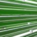 In Malesia il più grande impianto di produzione di biomassa da microalghe