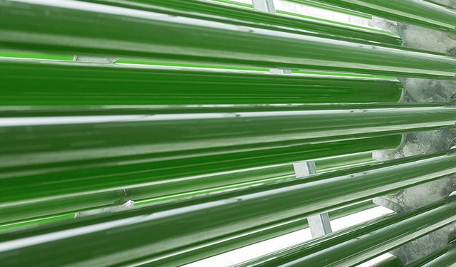 In Malesia il più grande impianto di produzione di biomassa da microalghe