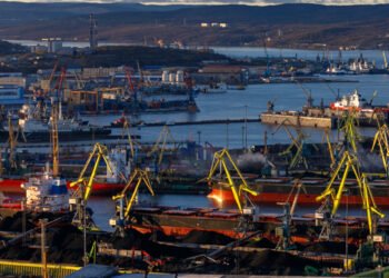 Ittico. Aumentate le eportazioni dalla Russia verso l'UE