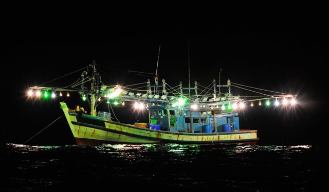 La pesca globale dei calamari cresce a dismisura